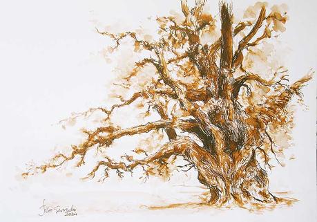 PALETA Y PIGMENTOS. Y acuarelas de septiembre 2024.