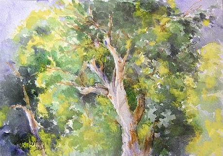 PALETA Y PIGMENTOS. Y acuarelas de septiembre 2024.