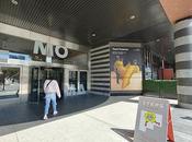 Ahorra atracciones Francisco CityPASS