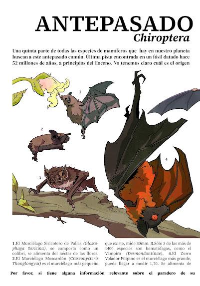 Fanerozoico #3: Cenozoico