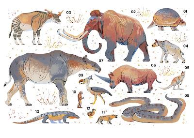 Fanerozoico #3: Cenozoico