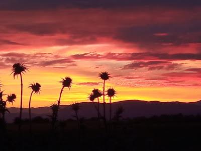 ¿De quién es la belleza?