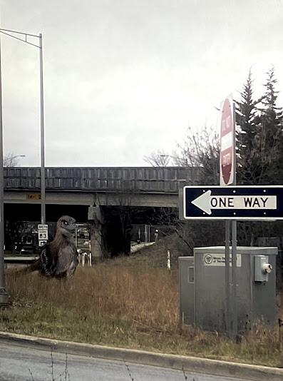 Los extraños pájaros de Archesuchus