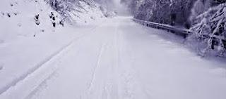 Mi familia y otros asesinos de Fran Navarro y Chus Navarro