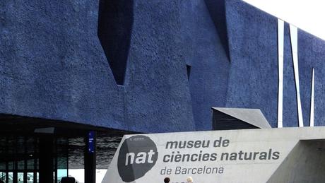 Un mensaje a las estrellas desde Barcelona