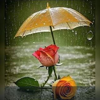 5.998 - CON LA LLUVIA... 5.998 - CON LA LLUVIA...