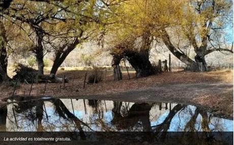 La estancia Chacabuco abre su tranquera para recibir a los visitantes