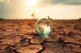 DÍA INTERNACIONAL CONTRA EL CAMBIO CLIMÁTICO