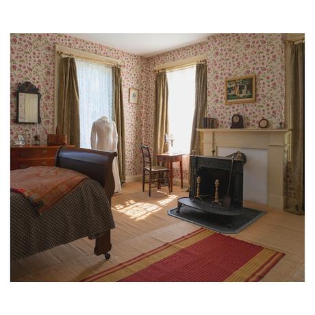 Emily Dickinson | Me encierran en la Prosa