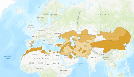 La Terrera Marismeña
