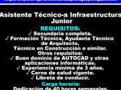 Asistente Técnico-a Infraestructura Junior