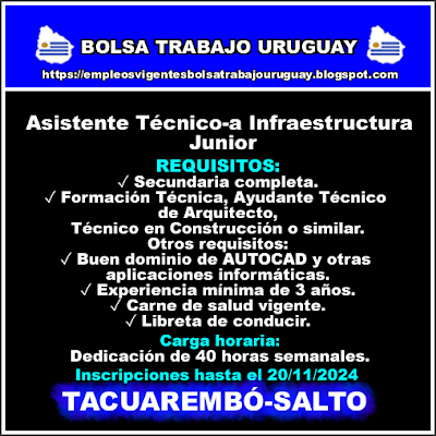Asistente Técnico-a Infraestructura Junior