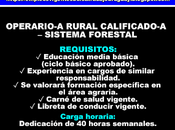 Operario-a rural calificado-a sistema forestal