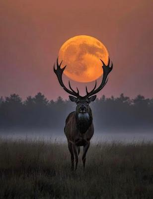 Las movilizaciones por la vivienda, ¿un nuevo 15M?