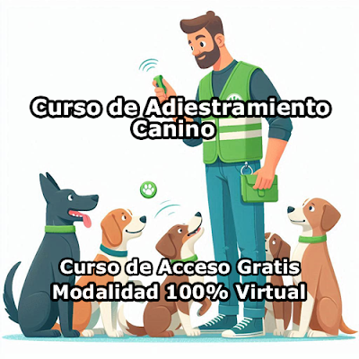Curso de Adiestramiento Canino Modalidad 100% Virtual de Acceso Gratis