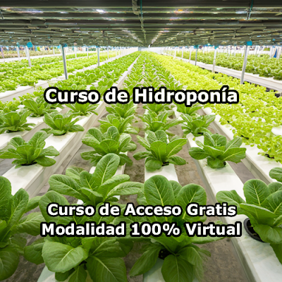Curso de Hidroponía Modalidad 100% Virtual de Acceso Gratis