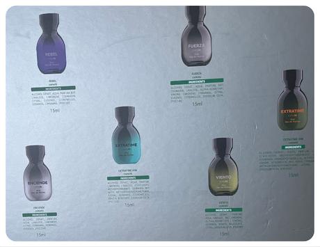 ⭐️ 6 Iconic Fragances for Him ⭐️ 🪻 Calendario de Adviento Perfumes Hombres Mercadona🪻