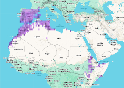 La Cogujada Montesina en Mas de Melons