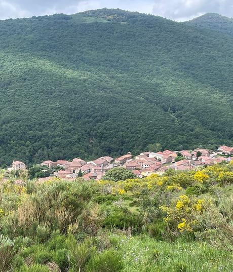 Volver a Brañosera