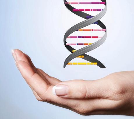 El ADN: la molecula esencial para la vida, y el juguete de la evolución