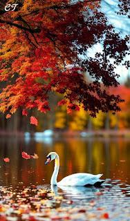 6.003 - SE VA APAGANDO LA VOZ... 6.003 - SE VA APAGANDO LA VOZ...