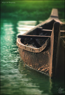 GALA DE PREMIOS XLIII ED. EL CAMINO DE MIGUEL DELIBES