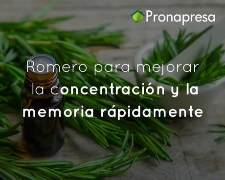 Romero para mejorar la concentración y la memoria rápidamente