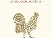 Joan Vinyoli. hombre solo