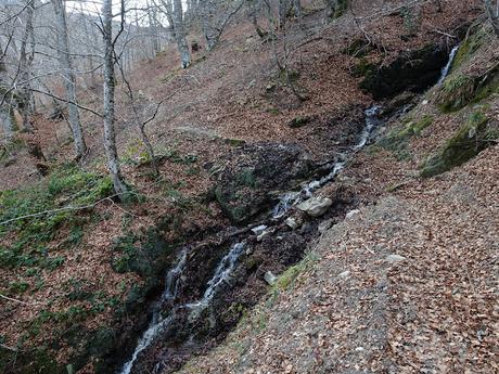 El Campón-Cerréu-El Porrón de Cerrosa-Vega Pociellu