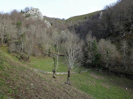 El Campón-Cerréu-El Porrón de Cerrosa-Vega Pociellu