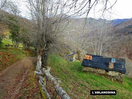 El Campón-Cerréu-El Porrón de Cerrosa-Vega Pociellu