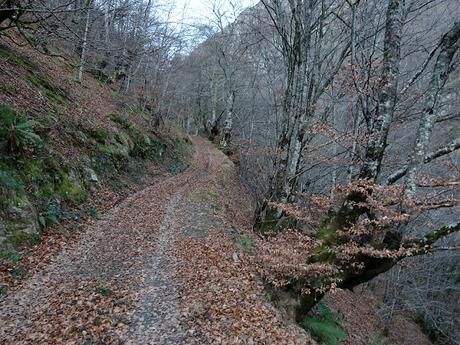 El Campón-Cerréu-El Porrón de Cerrosa-Vega Pociellu