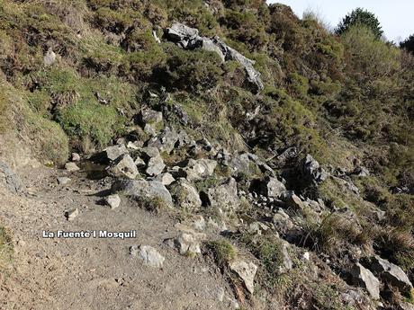 El Campón-Cerréu-El Porrón de Cerrosa-Vega Pociellu