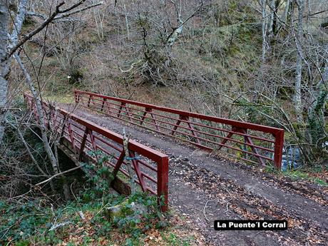 El Campón-Cerréu-El Porrón de Cerrosa-Vega Pociellu