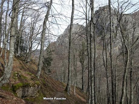 El Campón-Cerréu-El Porrón de Cerrosa-Vega Pociellu