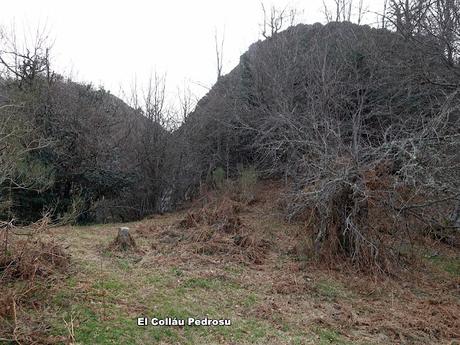 El Campón-Cerréu-El Porrón de Cerrosa-Vega Pociellu