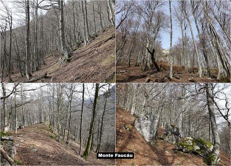 El Campón-Cerréu-El Porrón de Cerrosa-Vega Pociellu