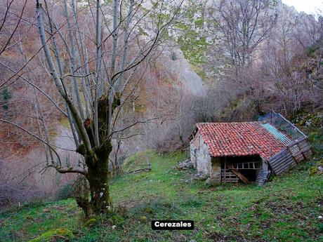 El Campón-Cerréu-El Porrón de Cerrosa-Vega Pociellu