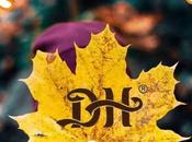 Bienvenido Noviembre, 2024.