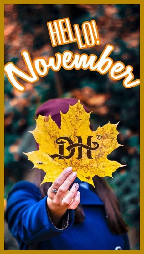 - Bienvenido Noviembre, 2024.