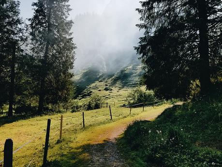 Los 10 paisajes más bellos de Eslovenia Valle de Logarska Dolina