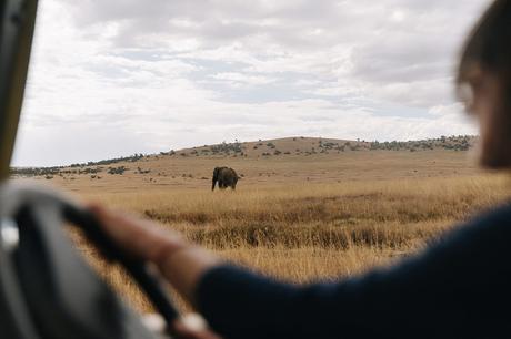 safari en kenia