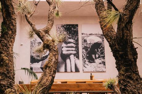 Honest Greens restaurante Rambla Catalunya, 3