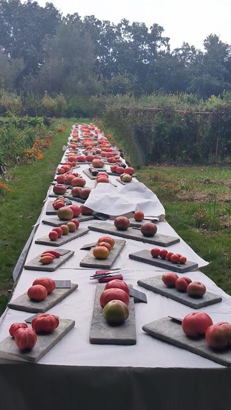 Descubre la magia de Huerta Carabaña: ecología y gastronomía