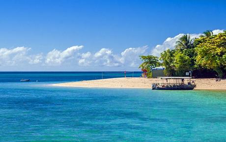 11 atracciones turísticas y cosas para hacer mejor valoradas en Cairns Excursión de un día a la Isla Verde