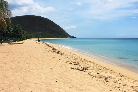 ¿Dónde ir en febrero de 2024 bajo el sol? Playa de Guadalupe