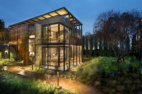 Gana una beca de fotografía de Safari en África