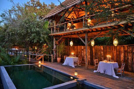 Gana una beca de fotografía de Safari en África Gana una beca de fotografía de Safari en África