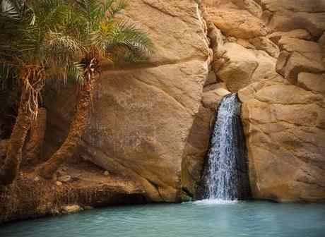 8 oasis en el desierto más bellos del mundo Oasis de Chebika