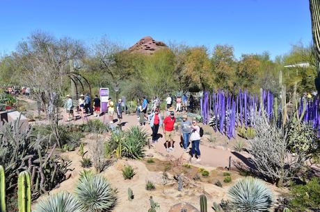 Jardín Botánico del Desierto